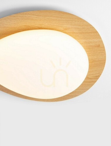 Kontrollera Plafond ISIDRO Luces Exclusivas LE44417