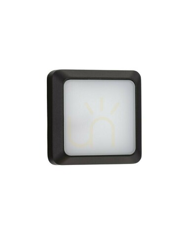 Kontrollera PASCO Luces Exclusivas vägglampa för utomhusbruk LE73668