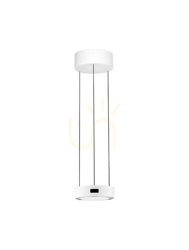 Kontrollera ALMAY Luces Exclusivas taklampa LE44606