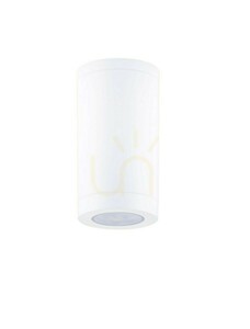 TARAPOTO Luces Exclusivas Outdoor Plafonds LE73773 small 4