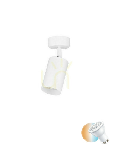 Kontrollera Plafond TREMANO Luces Exclusivas LE45663