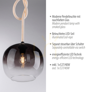 LUMA Pendellampa 2410-18 Svart 1xLED small 3