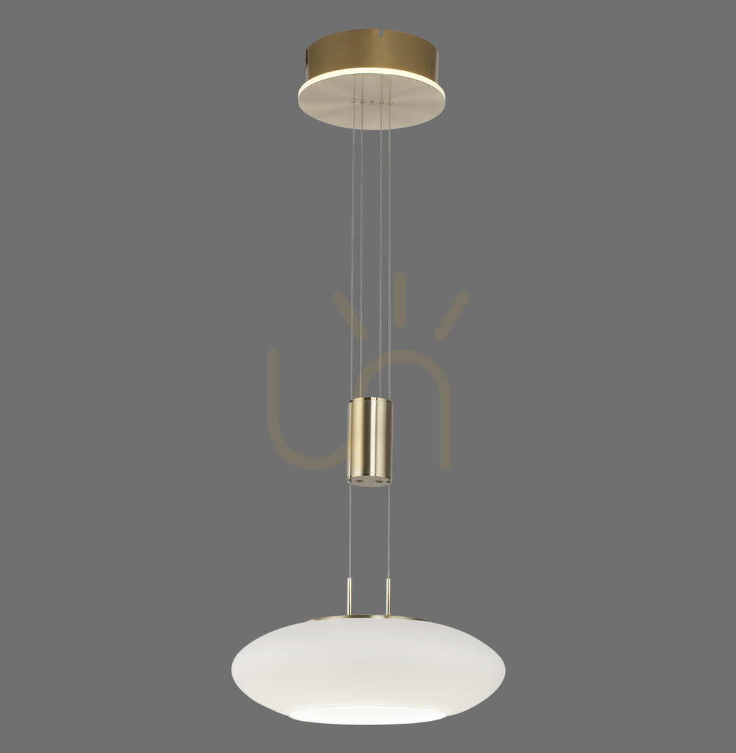 Kontrollera Q-ETIENNE 2075-60 Brun 2xLED taklampa Q-ETIENNE 2075-60 Brun 2xLED taklampa