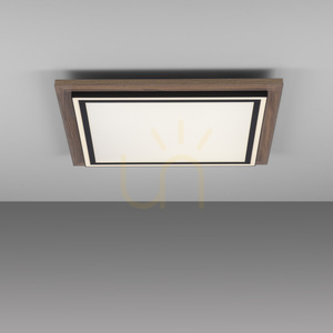 Paul Neuhaus PALMA 6141-79 LED-takplafond, trädekor, 53,4 cm, CCT, fjärrkontroll small 10