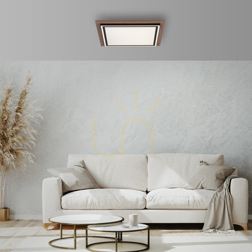 Kontrollera Paul Neuhaus PALMA 6141-79 LED-takplafond, trädekor, 53,4 cm, CCT, fjärrkontroll