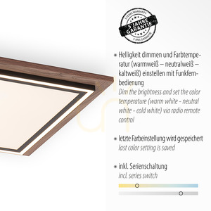Paul Neuhaus PALMA 6141-79 LED-takplafond, trädekor, 53,4 cm, CCT, fjärrkontroll small 3