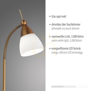 PINO Bordslampa 4001-11 Mässing 1xG9 small 3
