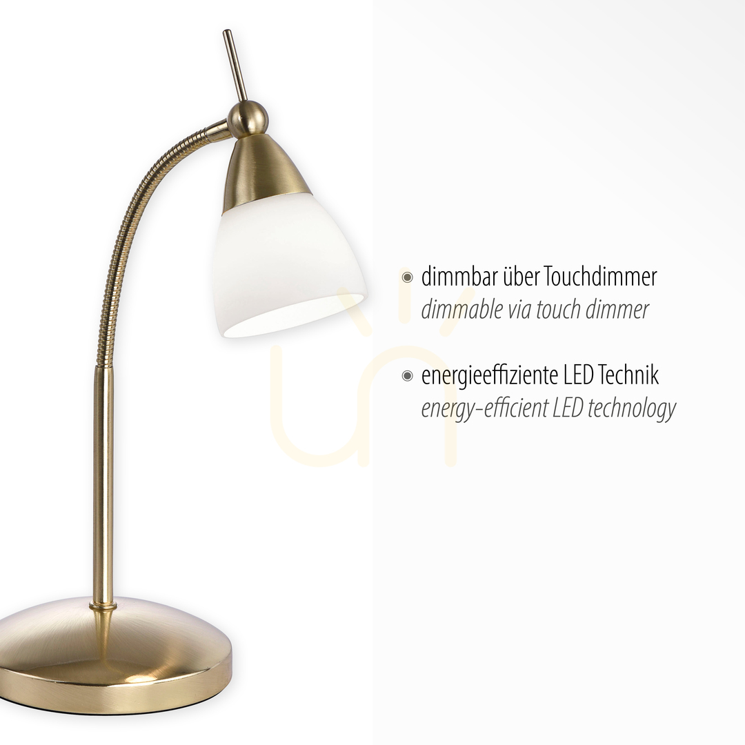Display PINO Bordslampa 4001-60 Mässing 1xG9 PINO Bordslampa 4001-60 Mässing 1xG9