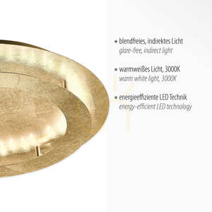 Guldfärgad LED-plafond Paul Neuhaus NEVIS 9621-12 50 cm small 3