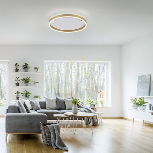 Kontrollera JUST LIGHT RITUS 15391-60 LED-plafond, matt mässingsfärg, 39,3 cm, Switchmo