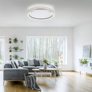 Plafond RITUS 15392-95 Silver 1xLED 13 Plafond RITUS 15392-95 Silver 1xLED small 13