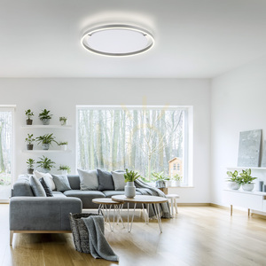 Plafond RITUS 15392-95 Silver 1xLED 2 Plafond RITUS 15392-95 Silver 1xLED small 2