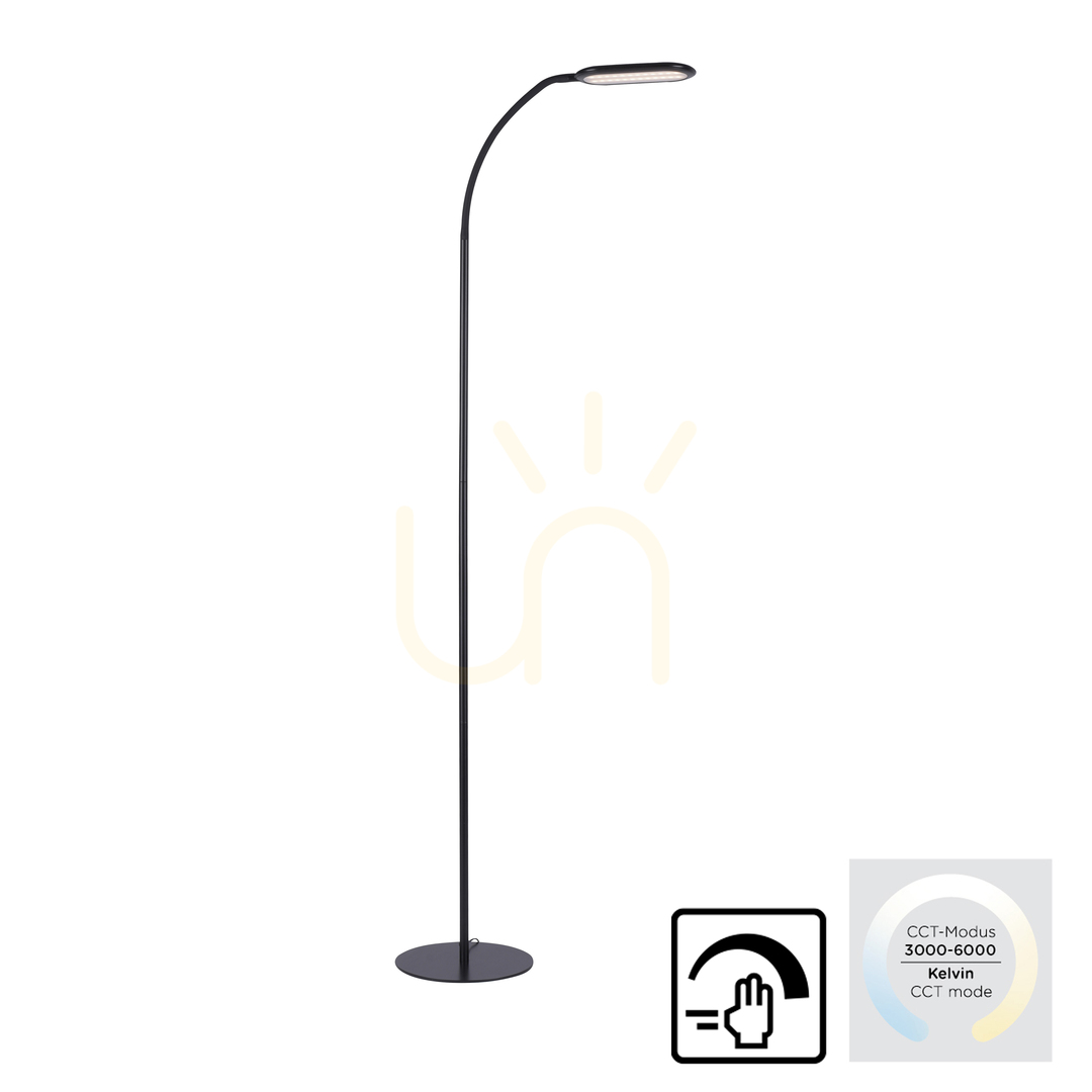 Utsikt KELLY Golvlampa 14406-18 Svart 1xLED KELLY Golvlampa 14406-18 Svart 1xLED