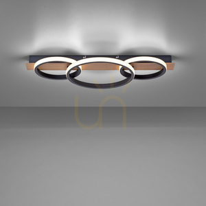 TROOPER Plafond 15616-78 Trä 1xLED 4 TROOPER Plafond 15616-78 Trä 1xLED small 4