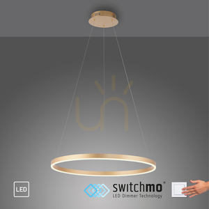 RITUS Pendellampa 15394-60 Mässing 1xLED small 10