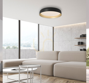 Plafond OSKO 14216-18 Svart 1xLED small 2