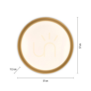 Plafond OSKO 14216-18 Svart 1xLED small 8
