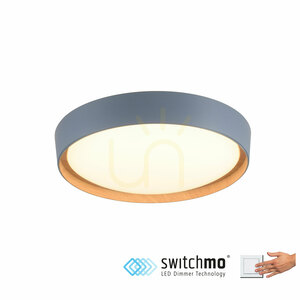 Plafond EMILIA 14347-15 Grå 1xLED small 1