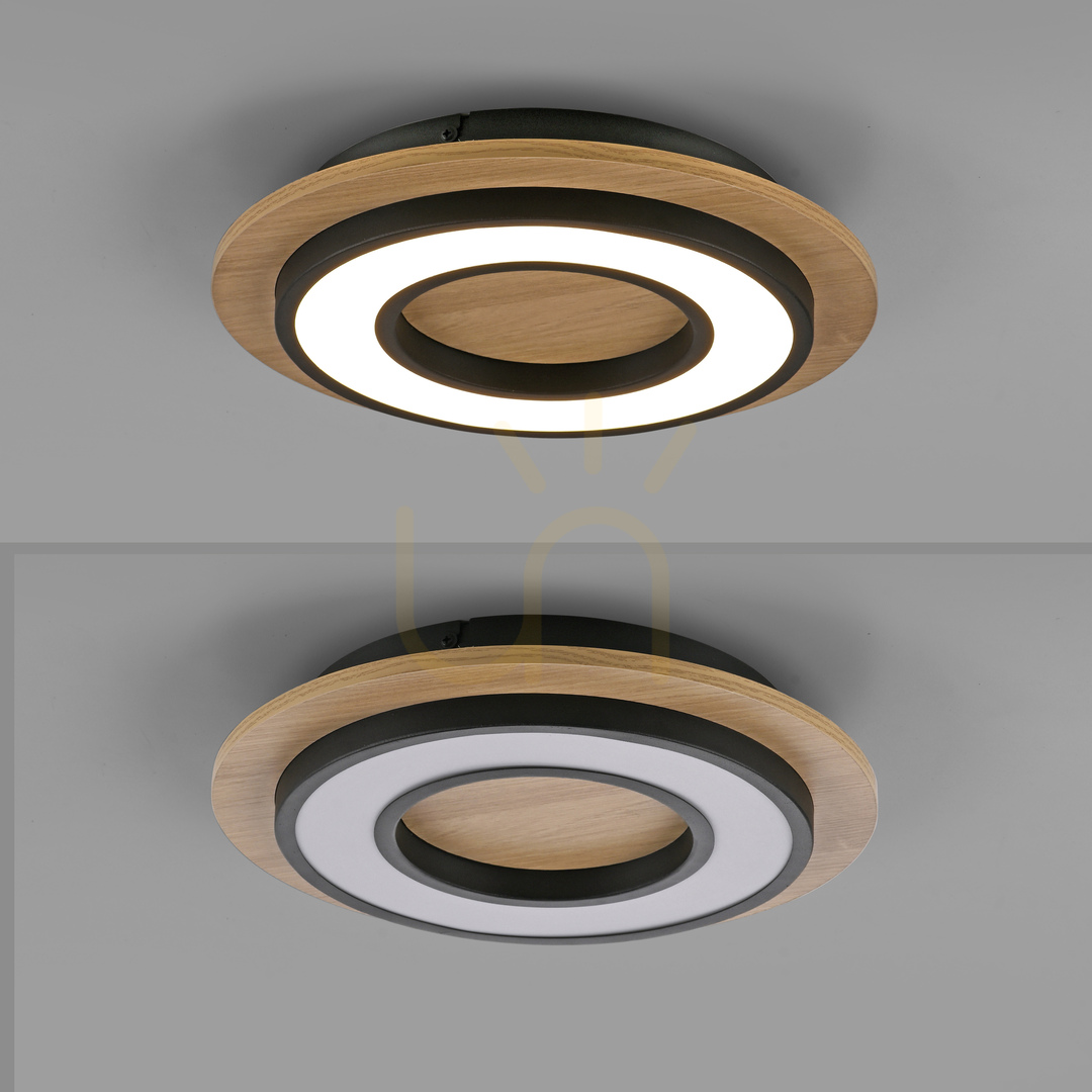 Förhandsvisning TOLA plafond 14560-18 Svart 1xLED TOLA plafond 14560-18 Svart 1xLED