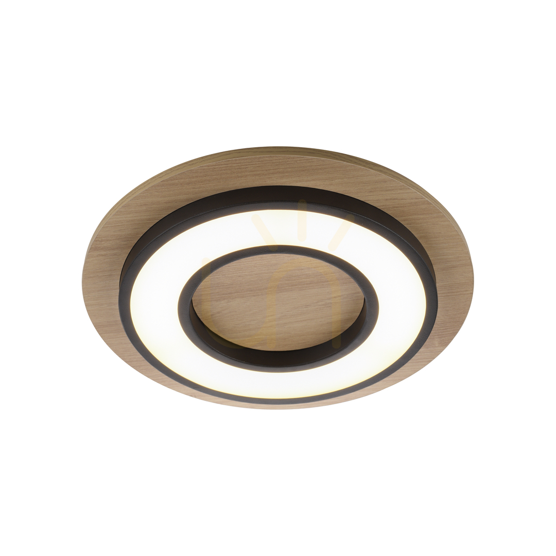 Förhandsvisning TOLA plafond 14560-18 Svart 1xLED TOLA plafond 14560-18 Svart 1xLED