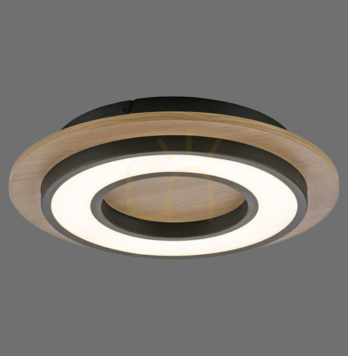 Kontrollera TOLA plafond 14560-18 Svart 1xLED