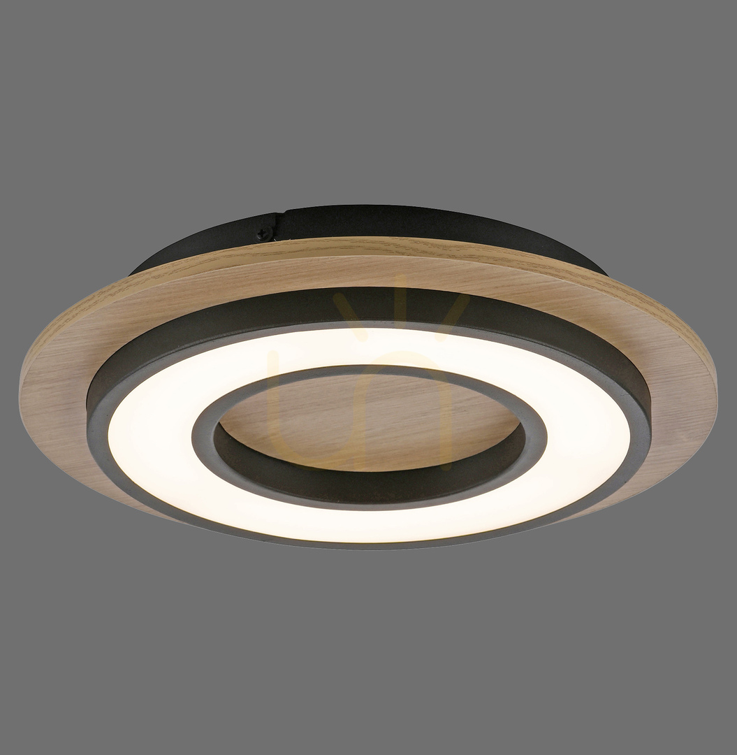 Kontrollera TOLA plafond 14560-18 Svart 1xLED TOLA plafond 14560-18 Svart 1xLED