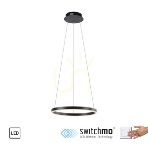 RITUS Pendellampa 15393-13 Antracit 1xLED 1 RITUS Pendellampa 15393-13 Antracit 1xLED small 1