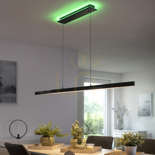 Kontrollera Paul Neuhaus Q-ARIAN 2569-13 LED-pendel, antracit, CCT RGB