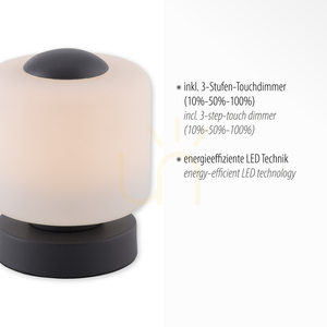 BOTA Bordslampa 4037-13 Antracit 1xLED small 3