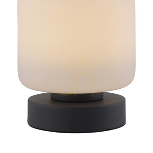 BOTA Bordslampa 4037-13 Antracit 1xLED small 8
