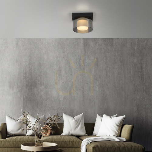 Kontrollera Paul Neuhaus RIKA 6162-18 svart LED-plafond, rökfärgat glas, 3000 K