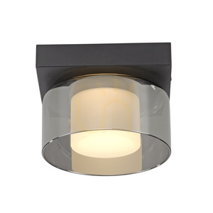 Paul Neuhaus RIKA 6162-18 svart LED-plafond, rökfärgat glas, 3000 K small 7