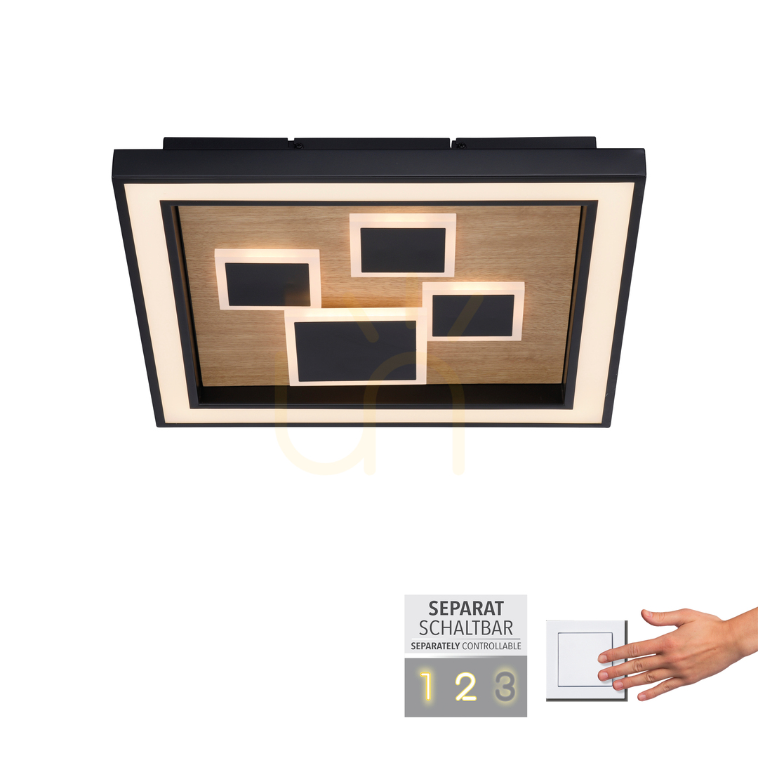 Utsikt Plafond ELIZA 6283-79 Svart 1xLED Plafond ELIZA 6283-79 Svart 1xLED