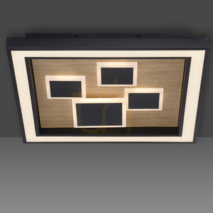 Plafond ELIZA 6283-79 Svart 1xLED 5 Plafond ELIZA 6283-79 Svart 1xLED small 5