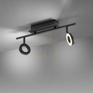 Takspotlight Paul Neuhaus SILEDA 6781-13 antracit 2xLED small 10