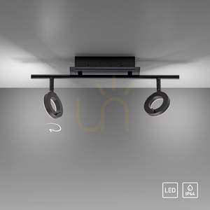 Takspotlight Paul Neuhaus SILEDA 6781-13 antracit 2xLED small 12