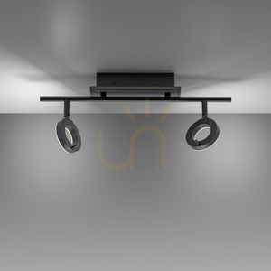Takspotlight Paul Neuhaus SILEDA 6781-13 antracit 2xLED small 5