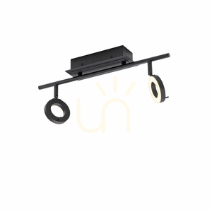 Takspotlight Paul Neuhaus SILEDA 6781-13 antracit 2xLED small 7