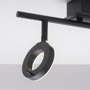 Takspotlight Paul Neuhaus SILEDA 6781-13 antracit 2xLED small 9