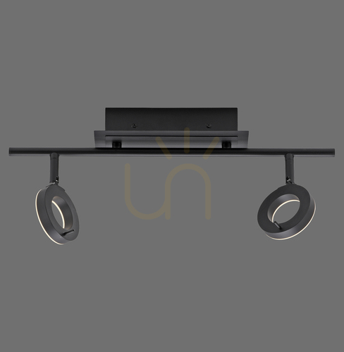 Kontrollera Takspotlight Paul Neuhaus SILEDA 6781-13 antracit 2xLED