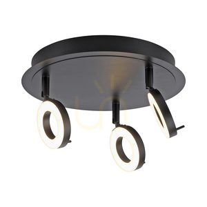 Paul Neuhaus SILEDA 6788-13 antracit LED-taklampa 3000 K IP44 small 13