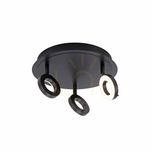 Paul Neuhaus SILEDA 6788-13 antracit LED-taklampa 3000 K IP44 small 6