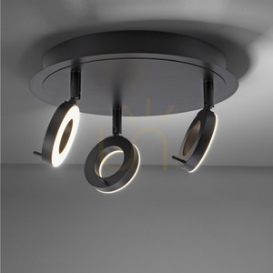 Paul Neuhaus SILEDA 6788-13 antracit LED-taklampa 3000 K IP44 small 9