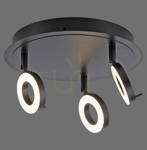 Paul Neuhaus SILEDA 6788-13 antracit LED-taklampa 3000 K IP44 small 0