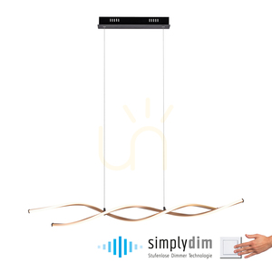 POLINA Taklampa 9142-18 Svart 2xLED 1 POLINA Taklampa 9142-18 Svart 2xLED small 1