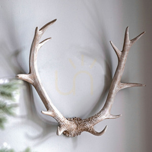 Väggkonst horn vit polyharts 55 cm Bjorn Gallery Direct 5059413395147 small 1