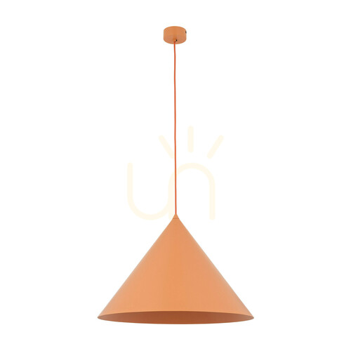Kontrollera Cono XL Salmon taklampa 1 XE27