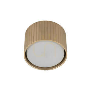 Ferro Champagne Downlight+ Gx53 small 5