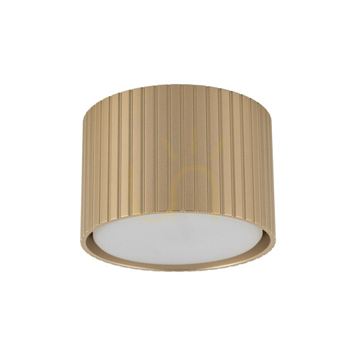 Kontrollera Ferro Champagne Downlight+ Gx53