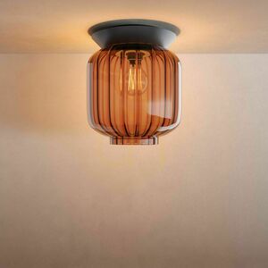 Plafond s.luce Velo svart glas E27 18 cm small 4